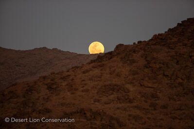Full moon rising over the Floodplain