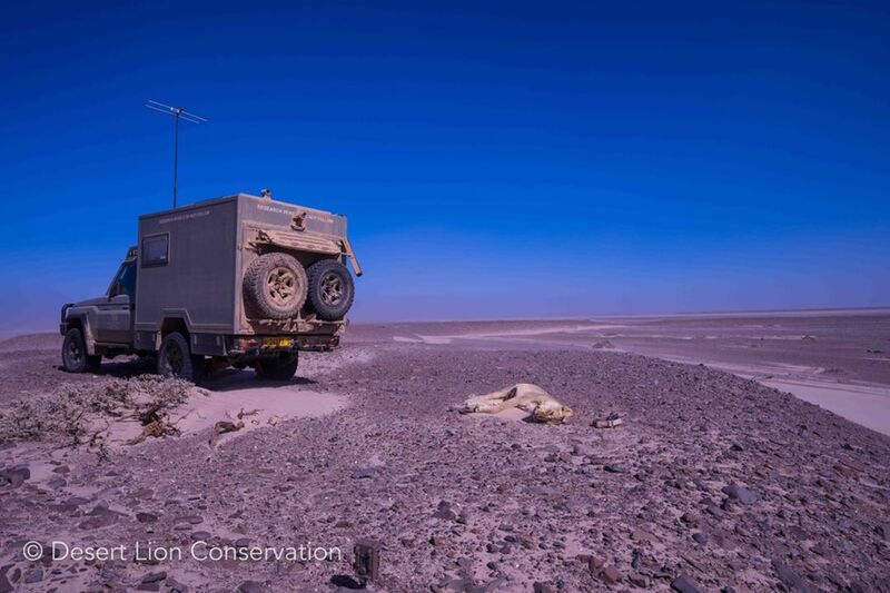 Xpl-105 was located on the open plains along the lower Koigab river