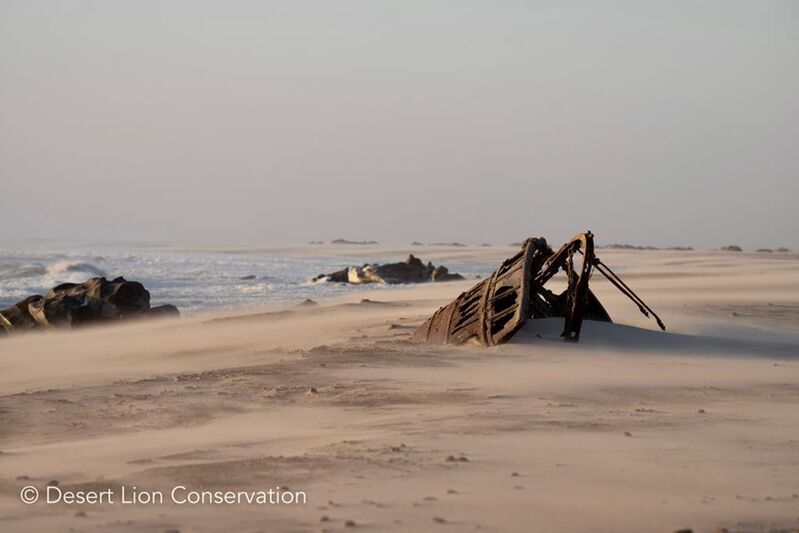Shipwreck along the Skeleton Coast