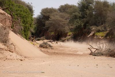 Xpl-114 “Charly” in hot pursuit of gemsbok