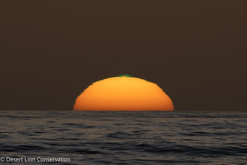 Small sliver of a green flash during sunset.