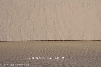 Large pools of floodwaters trapped between the dunes