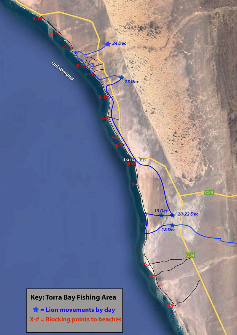 Updated map indicating the daily movements of the lioness Xpl-108