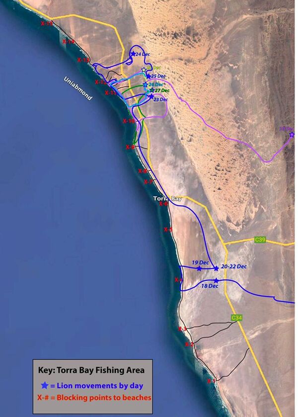 on 29 dec the Lioneess Xpl-108 roaming in the Torra Bay fishing area moved inland and has since not returned to coast