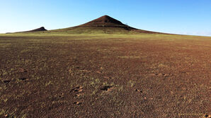 The gravel plains between the Huab and Hunkap Rivers are covered in lush green grass