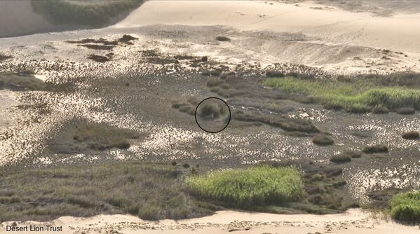 Xpl-108 spotted from the top of a high dune-crest.