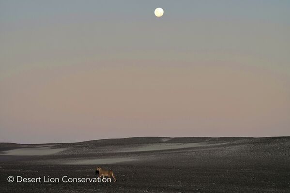 Xpl-108 over the gravel plains with the moon rising.