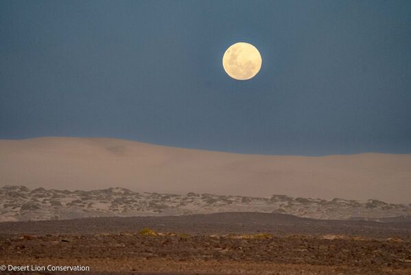 Moon rising over the Uniab dunes.