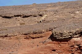 Xpl-108 moved past the famous Uniab waterfall.