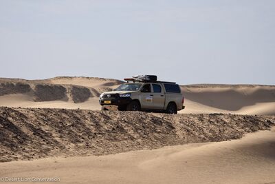 Peter Sander driving along the beaches and communicating with anglers.