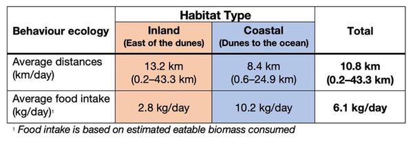 Comparison between the distances traveled and per capita food intake acquired by the lions Xpl-108 over two months.