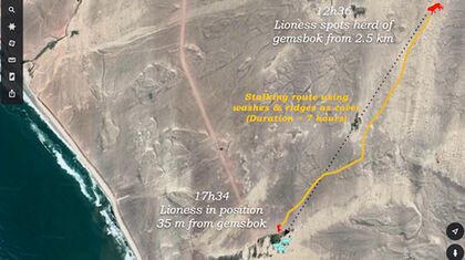  Xpl-108 spotted a herd of gemsbok from a hummock.