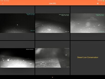 Multiple display arrangements during active nighttime observations