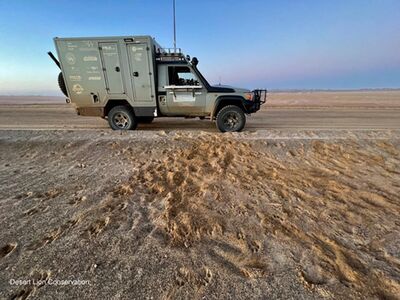 Following the tracks and locating the marine food items used by lions