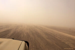 Dust storms along the coast