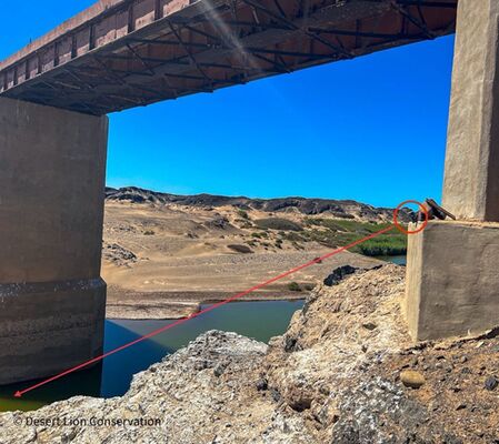 Fit new camera-trap in the Huab River. A brand new camera mountd at Raleigh spring at the Uniab Delta was stolen one week after the Torra Bay Holiday season started.