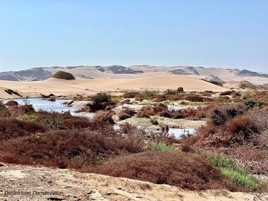 Large water pools blocking access to the Hoanib Floodplain