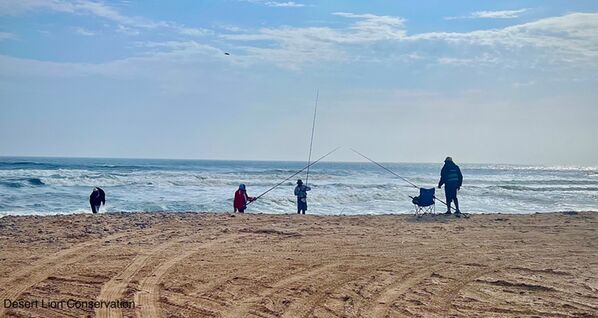 Illegal fishermen asked to vacate the area shortly before the lions arrived