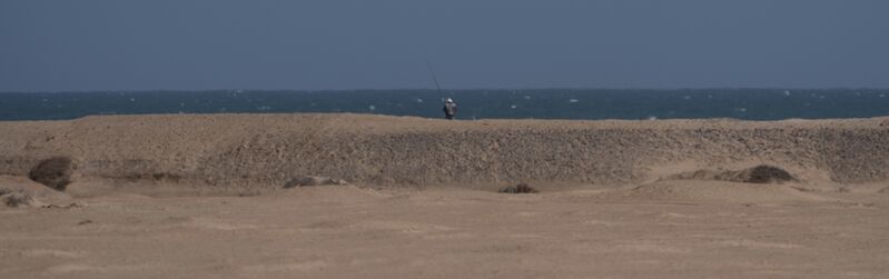 Fishermen at the mouth of the Hoanib river attracted the attention of the “Orphan” lionesses. Desert lion Conservation