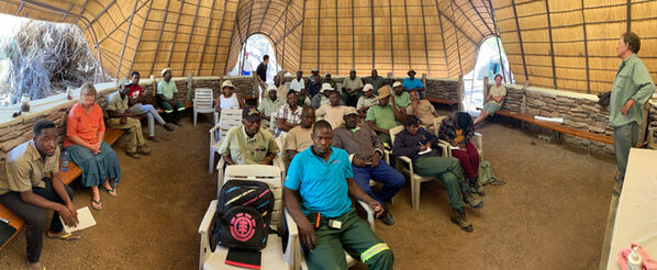 lion ranger training 