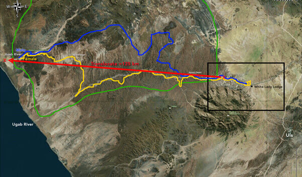 Map 1. The translocation of two lions