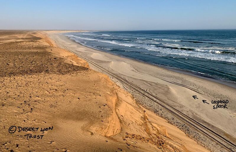 Beach where leopard killed seals