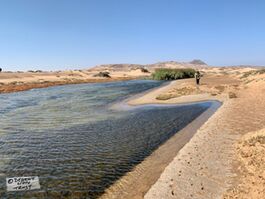 Skelton Coast fresh water spring