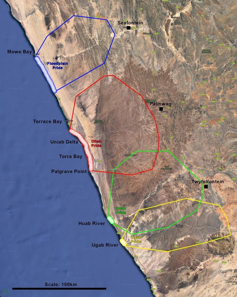 Movements and home ranges of four lion prides utilising the coastal habitat