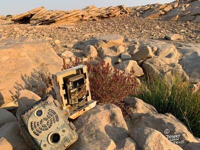 Replacing the old camera-trap at Gai-Ais spring