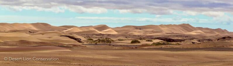 The dune-belt between the Samanab river and the coast