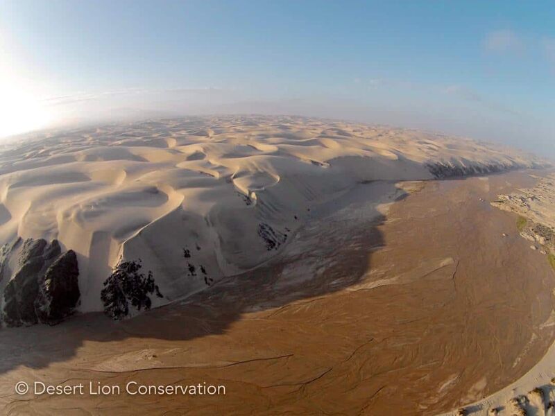 The Hoaruseb ephemeral river cuts through the dunes to the ocean Desert Lion Conservation Namibia