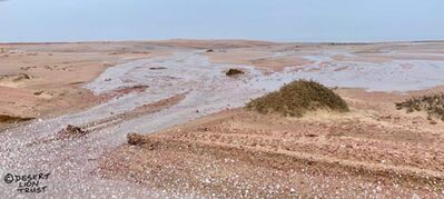 Rare images of rain along the coast in the Skeleton Coast National Park