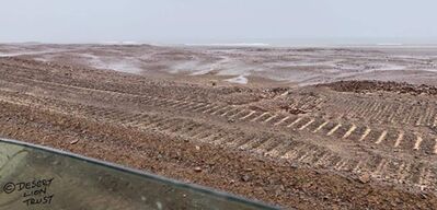 Rare images of rain along the coast in the Skeleton Coast National Park