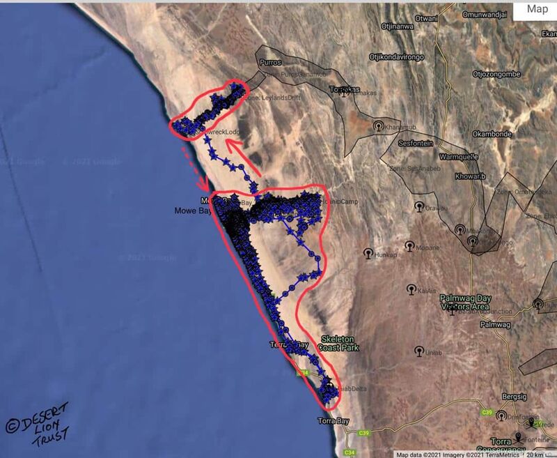 Movement patterns of the Orphan lionesses since 2016