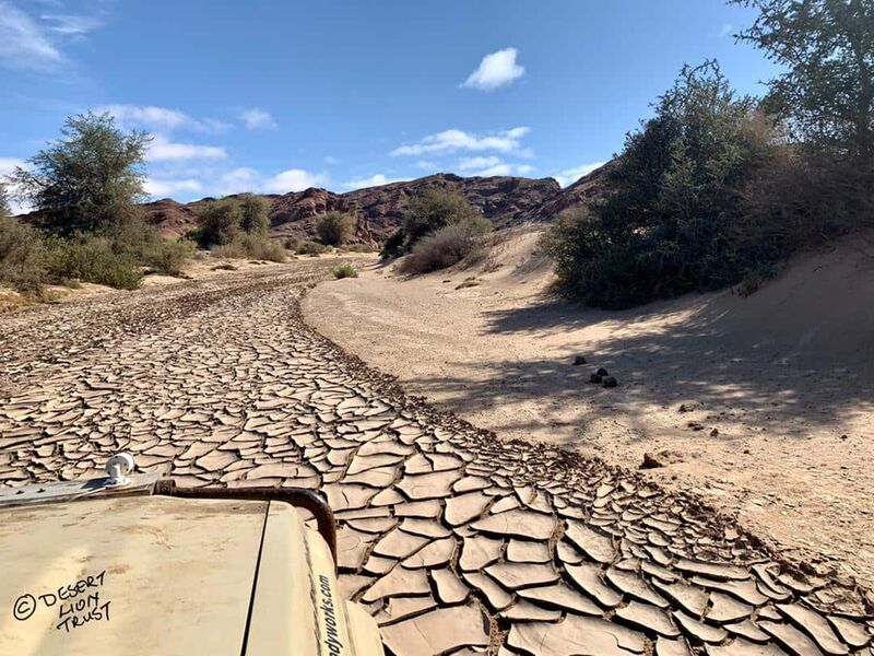 A flash flood along the Hoanib river reached the Floodplain on 1 Feb 2021