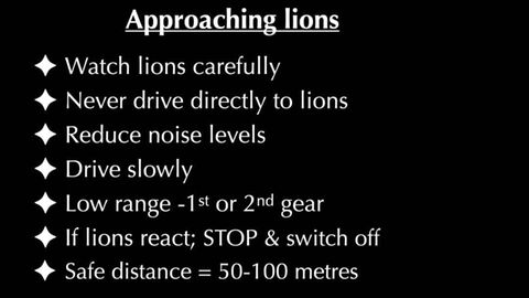 Example of images used during training