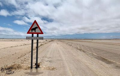 Road signs at Cape Cross