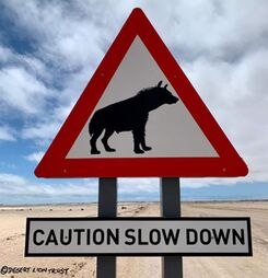 Road signs at Cape Cross