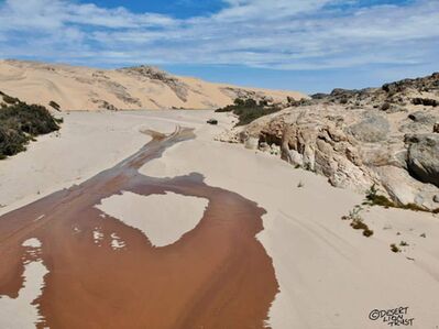 Floodwaters reach the dunes of the lower Hoaruseb river