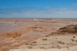 Dramatic images of the Hoaruseb river in full flood