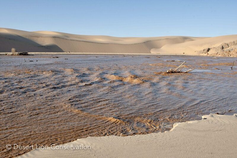 Hoaruseb floodwaters rush through the dune-belt to the sea