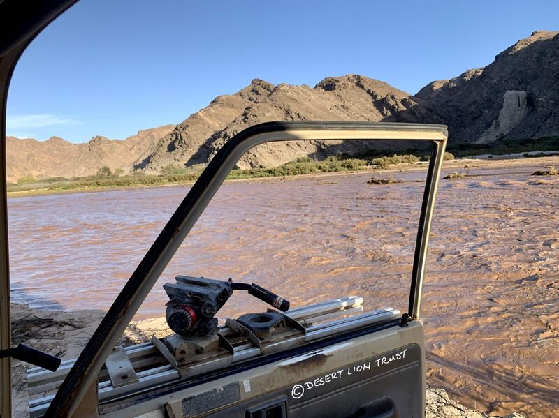 Location where lionesses crossed the flooding river