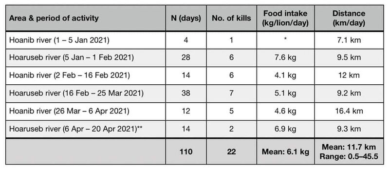 Movements and food intake of two adult lionesses in the Hoanib and Hoaruseb rivers between 1 Jan 2021 and 20 April 2021.