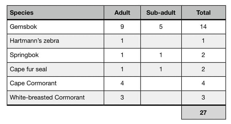 Prey species killed and consumed by two lionesses between 1 Jan 2021 and 20 April 2021.