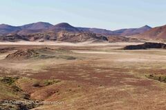 Landscapes and scenery with green grass from recent rainfall