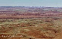 Landscapes and scenery with green grass from recent rainfall