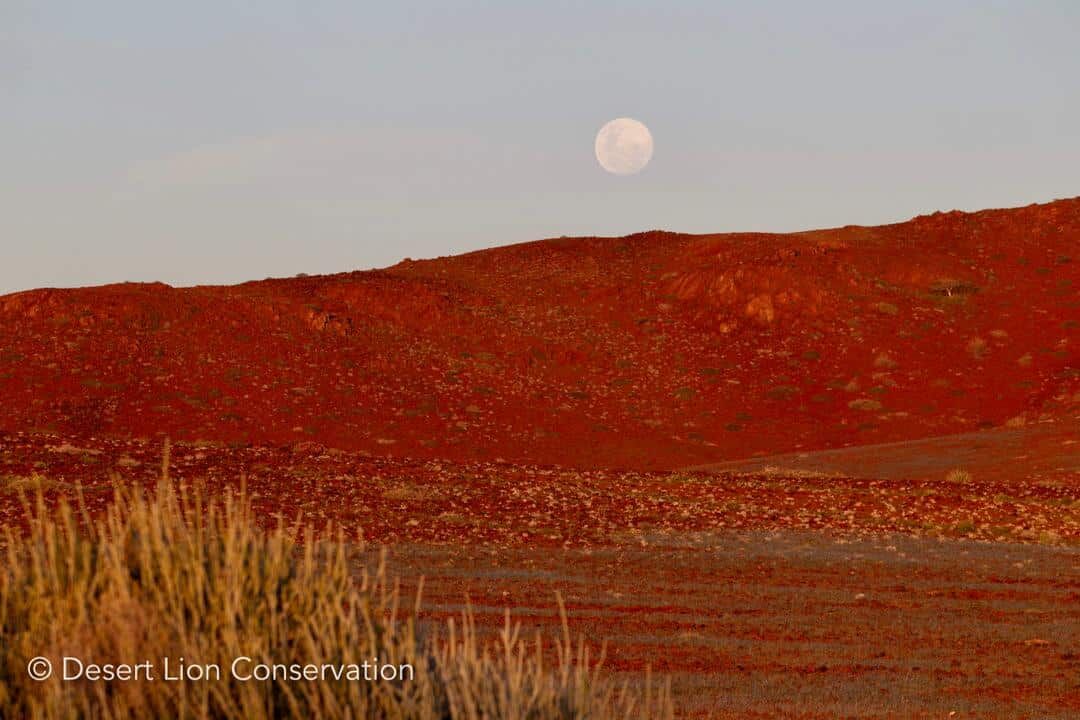 Full moon over the basalt hills