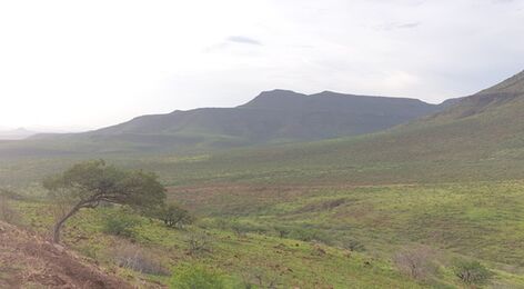 Southeast part of Kunene has received good rainfalls, rivers have been running strong and game like Springbok has been seen grazing along the road.
